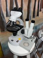Stereo Microscopen - Diverse Modellen, Ophalen, Gebruikt, Minder dan 400x, Stereomicroscoop