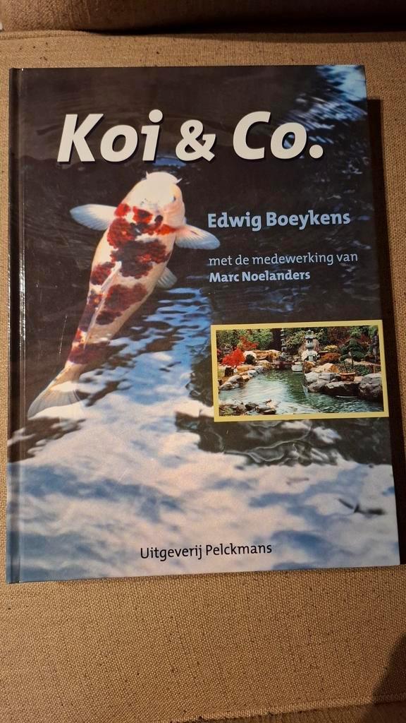 Koi & Co. - Edwyg Boeykens, Boeken, Hobby en Vrije tijd, Zo goed als nieuw, Overige onderwerpen, Ophalen of Verzenden
