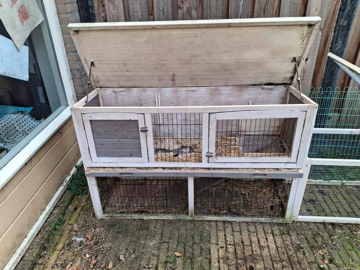 Wit konijnenhok van Wellkoop, Dieren en Toebehoren, Knaagdieren en Konijnen | Hokken en Kooien, Gebruikt, Hok, 90 cm of meer, 110 cm of meer