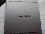 Zoltin Peeter 2004 - 2007, Beeldhouwkunst, Ophalen of Verzenden, Zo goed als nieuw, Zoltin Peeter e.a.
