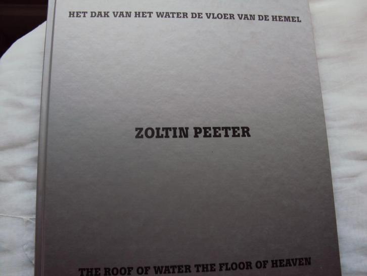 Zoltin Peeter 2004 - 2007, Boeken, Kunst en Cultuur | Beeldend, Zo goed als nieuw, Beeldhouwkunst, Ophalen of Verzenden