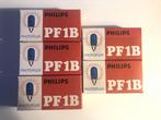 Flitslampjes (bulbs) Philips PF1B - 5 doosjes, Nieuw, Overige merken, Ophalen of Verzenden