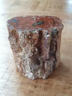 Versteend hout fossiel, Ophalen of Verzenden