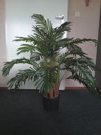 Kunstplant palm nieuw, Ophalen, Nieuw
