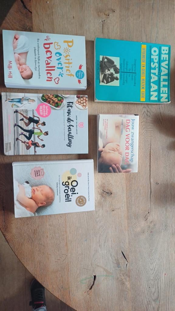 Boeken over zwangerschap, bevalling & baby, Ophalen of Verzenden, Zwangerschap en Bevalling