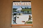 Vogels van Europa. Vliegpatronen - Nestgedrag..., Ophalen of Verzenden, Gelezen, Vogels