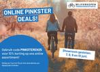 Div GAZELLE Ultimate met Belt-Drive Alfine 11 of 8 herenfiet