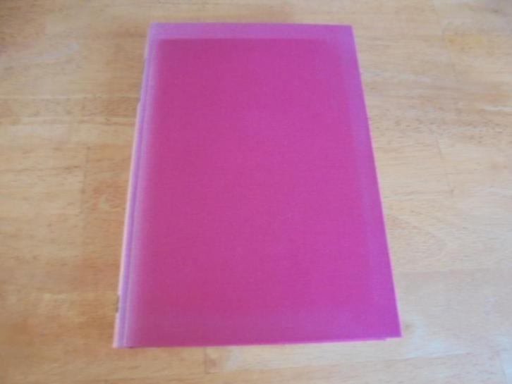 Stiefkinderen van het christendom - Lindeboom, J, Boeken, Godsdienst en Theologie, Gelezen, Ophalen of Verzenden