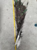 Allerlaatste Pauwveren, Ophalen