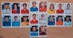 18 stuks Panini EK 2012 Van Persie, Iniesta, Zlatan, Buffon, Verzenden, Zo goed als nieuw, Plaatje