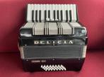 Kleine Delicia Junior accordeon . 32 bas . Licht ., Muziek en Instrumenten, Accordeons, Gebruikt, 32-bas, Delicia, Met riemen