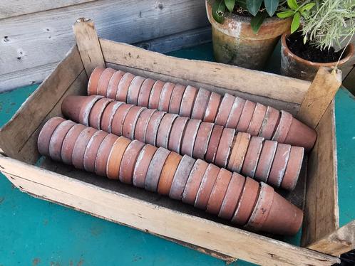 Kist Terracotta kweekpotje stekpotje cactuspotje 7h Miekje's, Tuin en Terras, Bloempotten, Nieuw, Minder dan 25 cm, Rond, Ophalen