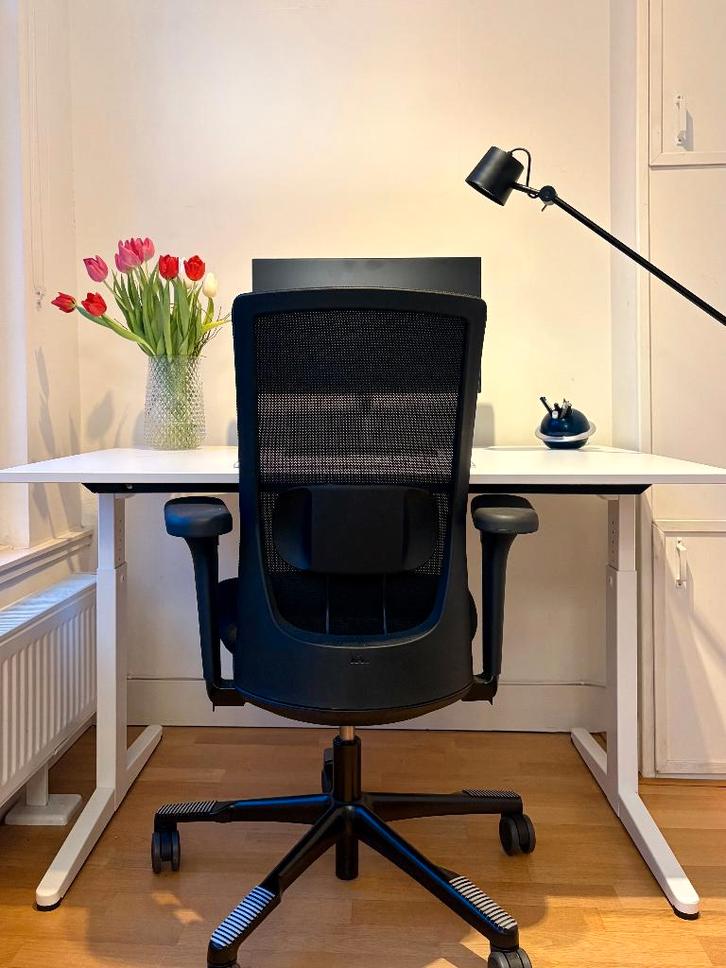 HÅG Ergonomic Office Chair (Black), Huis en Inrichting, Bureaustoelen, Zo goed als nieuw, Bureaustoel, Zwart, Ergonomisch, Ophalen