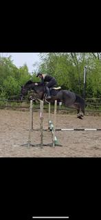 Springpaard, Dieren en Toebehoren, Ophalen of Verzenden, Zo goed als nieuw