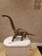 Grote langnek dino, Ophalen, Jongen of Meisje