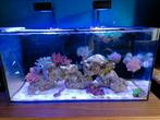 Tekoop Waterbox 50.3, Dieren en Toebehoren, Ophalen, Zo goed als nieuw, Leeg aquarium