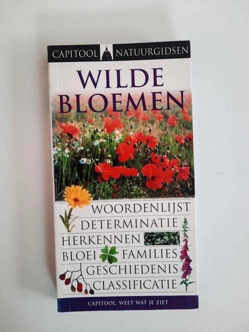 Capitool veldgids Wilde bloemen, Boeken, Natuur, Gelezen, Natuur algemeen, Ophalen of Verzenden
