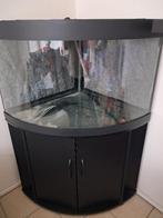 Aquarium trigon 190, Ophalen, Gebruikt, Leeg aquarium