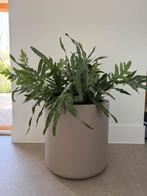 ELHO Pure Cilinder Wheels Bloempot 40 (zonder plant), Tuin en Terras, Bloembakken en Plantenbakken, Ophalen, Tuin, Kunststof, Minder dan 60 cm