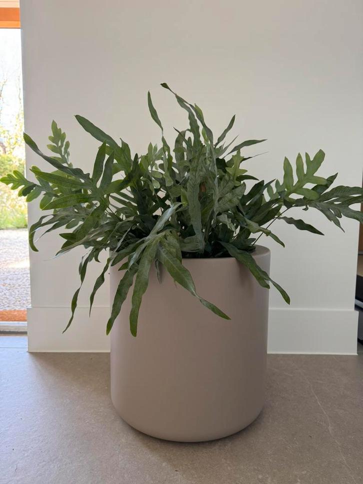 ELHO Pure Cilinder Wheels Bloempot 40 (zonder plant), Tuin en Terras, Bloembakken en Plantenbakken, Zo goed als nieuw, Kunststof