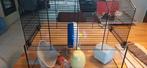 Hamster/knaagdierenkooi, Kooi, Gebruikt, Minder dan 75 cm, Hamster
