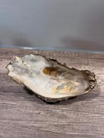 Oesterschelp schaaltje (dubbele oester), Ophalen of Verzenden, Mineraal
