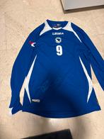 Dzeko gesigneerd shirt - Ibisevic naam, Maat XL, Ophalen, Nieuw, Shirt