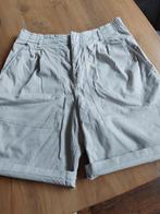 Drykorn short mt 29, Grijs, Drykorn, Maat 38/40 (M), Kort