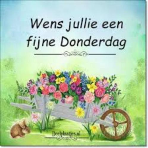 Pandora de ECHTE & ALLERLEI * is er 'n BEDEL voor JOU bij ?, Sieraden, Tassen en Uiterlijk, Bedels, Zo goed als nieuw, Pandora