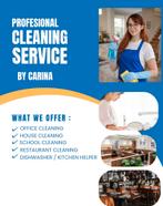Cleaning Service, Overige vormen