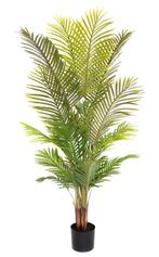 Helemaal nieuw in de doos Mooie kunst palm in pot 150 cm, Huis en Inrichting, Kamerplanten, Ophalen, Palm, Halfschaduw, In pot