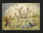 IJsvogel Eekhoorn Hazen Vink Kraai Merel by M. Tarrant., Ophalen of Verzenden, 1980 tot heden, Ongelopen, Kinderen