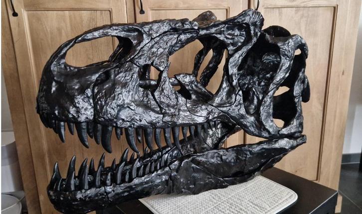 3D puzzel Dinosaurus schedel (schaal 1:1), Hobby en Vrije tijd, Denksport en Puzzels, Nieuw, Rubik's of 3D-puzzel, Minder dan 500 stukjes