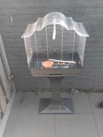 Mooi en goede vogel kooi op standaard inc toebehoren, Ophalen, Zo goed als nieuw, Metaal, Vogelkooi
