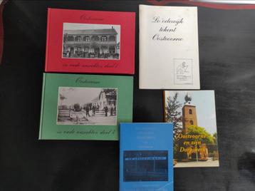 Set; Oostvoorne in oude ansichten deel 1 & 4 , Lo’odewijk beschikbaar voor biedingen