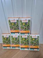 Opruiming Bloemen voor vogels 6 doosjes goed voor 90m2, Ophalen of Verzenden, Volle zon