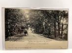 Oldenzaal - de Lutte - Oprijlaan naar Hotel Het Zwaantje, Verzenden, Voor 1920, Gelopen, Overijssel