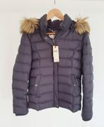 Tommy Hilfiger women winter jacket 38, Maat 38/40 (M), Blauw, Ophalen of Verzenden, Zo goed als nieuw
