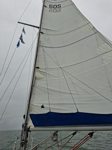 Grootzeil van/voor Hallberg Rassy 312 beschikbaar voor biedingen