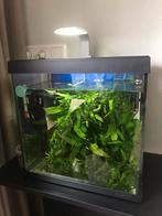 Superfish compleet met verwarming en pomp/filter, Dieren en Toebehoren, Vissen | Aquaria en Toebehoren, Ophalen of Verzenden, Gebruikt