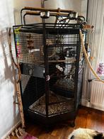Te koop nette papegaaien kooi in zeer goede staat, Ophalen, Zo goed als nieuw, Metaal, Vogelkooi