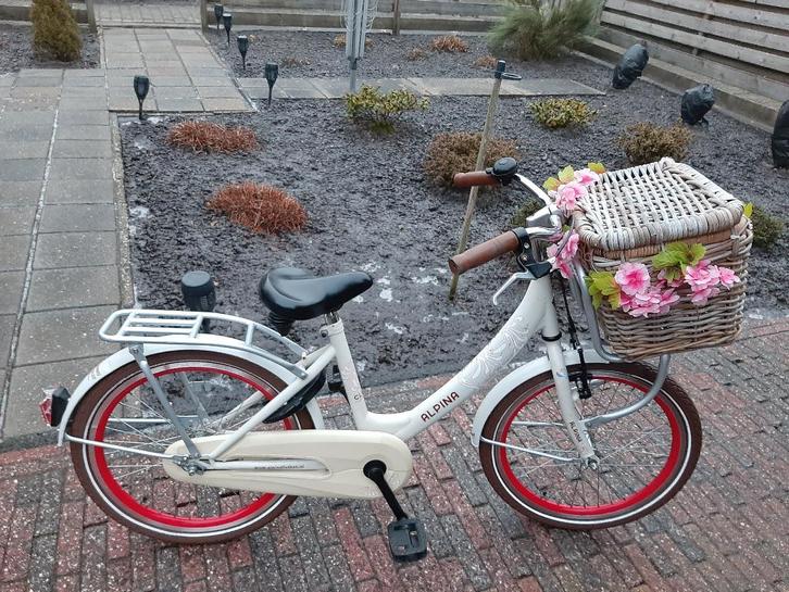 zgan: Prachtige Alpina Clubb Transport 20 inch, Fietsen en Brommers, Fietsen | Meisjes, Zo goed als nieuw, 20 inch, Handrem, Ophalen