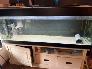 Groot aquarium 1,60m x 0,50m x 0,63m beschikbaar voor biedingen