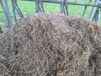 Hooi Balen, Dieren en Toebehoren, Ophalen of Verzenden, Vee