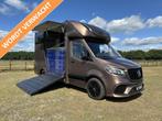 Mercedes-Benz Sprinter 319 AMG 2-paards paardenvrachtwagen B, Gebruikt, Info@hulshof-trading.nl, Overige typen, Hulshof-Trading