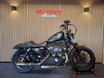 Harley Davidson XL IRON 883N Sportster Iron Origineel NL, Chopper, Bedrijf, 883 cc, Meer dan 35 kW