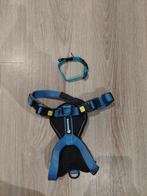 Tuigje en halsband, Dieren en Toebehoren, Ophalen, Zo goed als nieuw