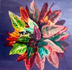 Louis van Gorkom  - Kamerplant met rood blad - 52x54cm, Verzenden