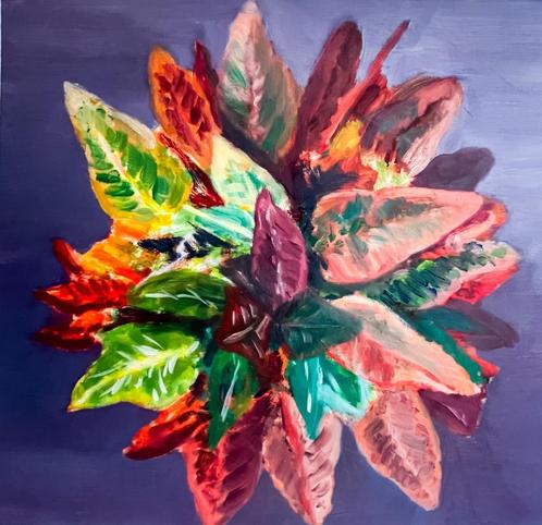 Louis van Gorkom  - Kamerplant met rood blad - 52x54cm, Antiek en Kunst, Kunst | Schilderijen | Klassiek, Verzenden