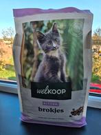 Welkoop kittenbrokken, Dieren en Toebehoren, Ophalen, Kat